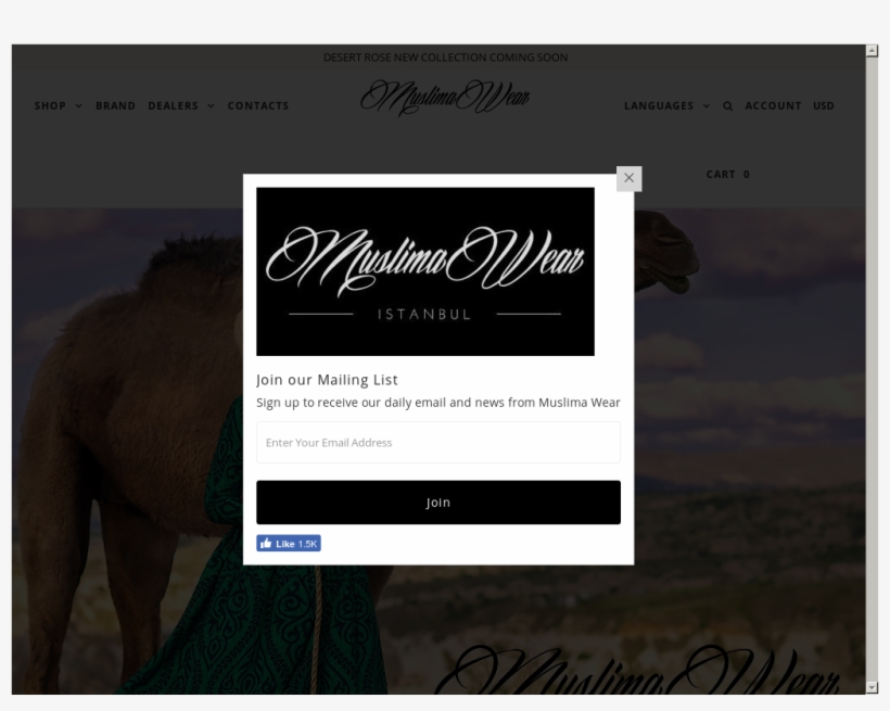 Website History - Ivory, transparent png #5614648
