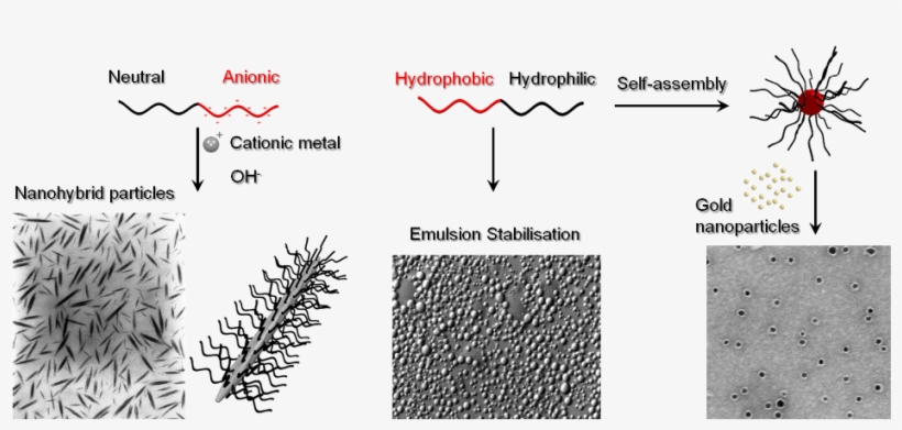 We Propose Various Strategies For The Preparation Of - Shortstraw Pine, transparent png #5615089