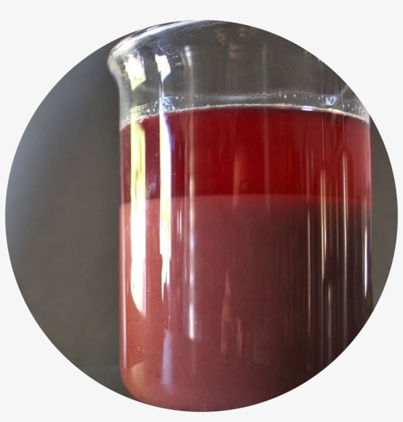After The Must Extraction Process, The Must Is Decanted - Decantation, transparent png #5615361