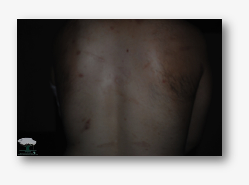 Image003 - Animal, transparent png #5615364