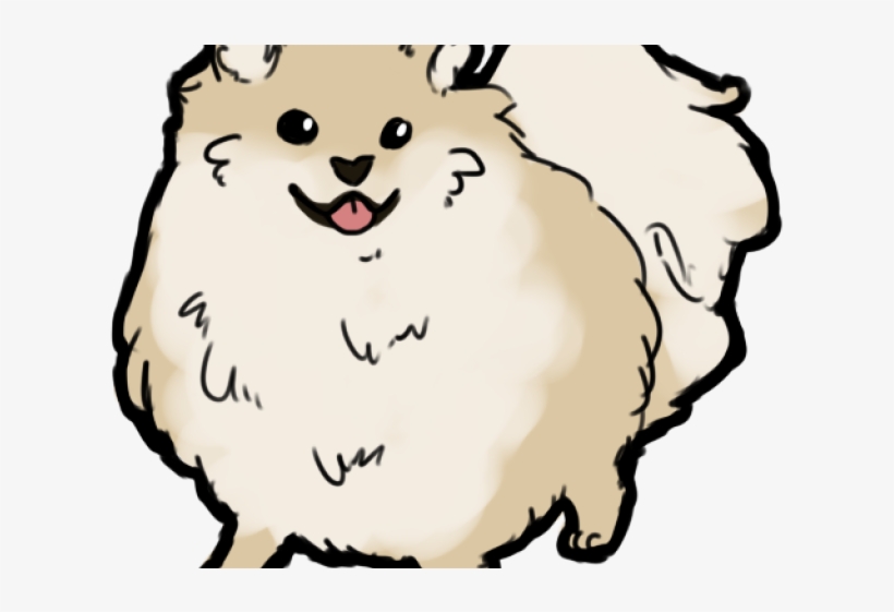 Pomeranian, transparent png #5615577