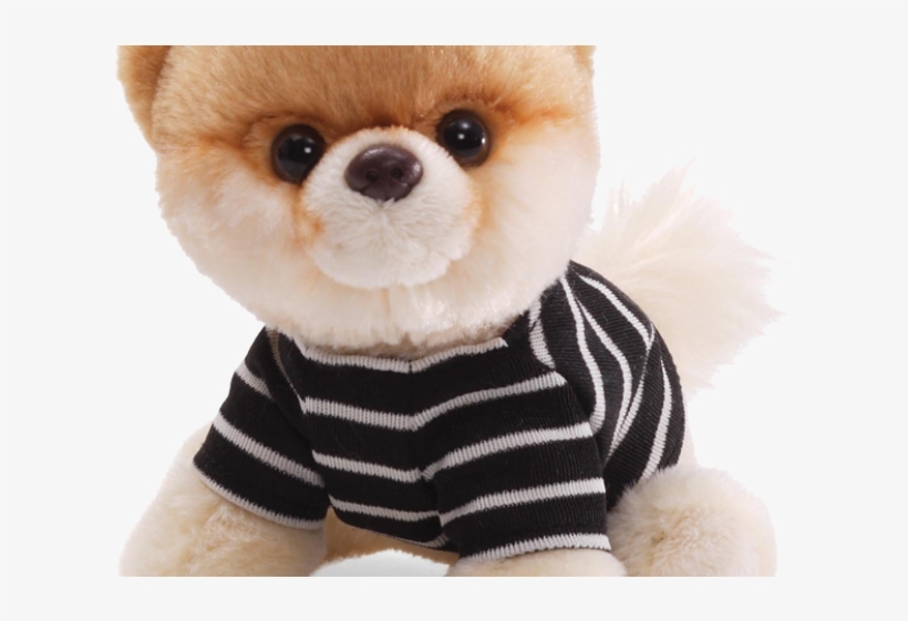 Pomeranian Clipart Transparent, transparent png #5615861