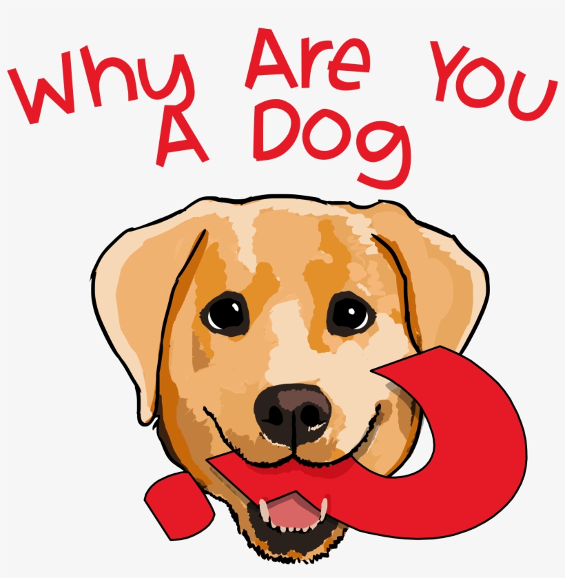 Why Are You A Dog, transparent png #5616007