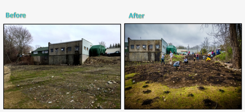 None Of This Would Have Been Possible Without The Hard-work - Grass, transparent png #5616085