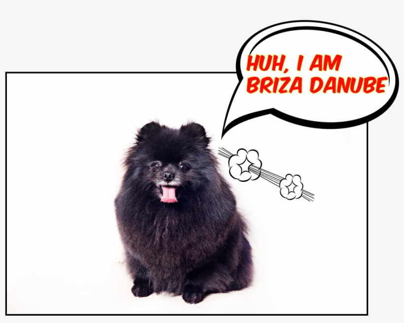 Briza Danube - Blank Comic Books For Kids: Make Your Own Comic Books, transparent png #5616315