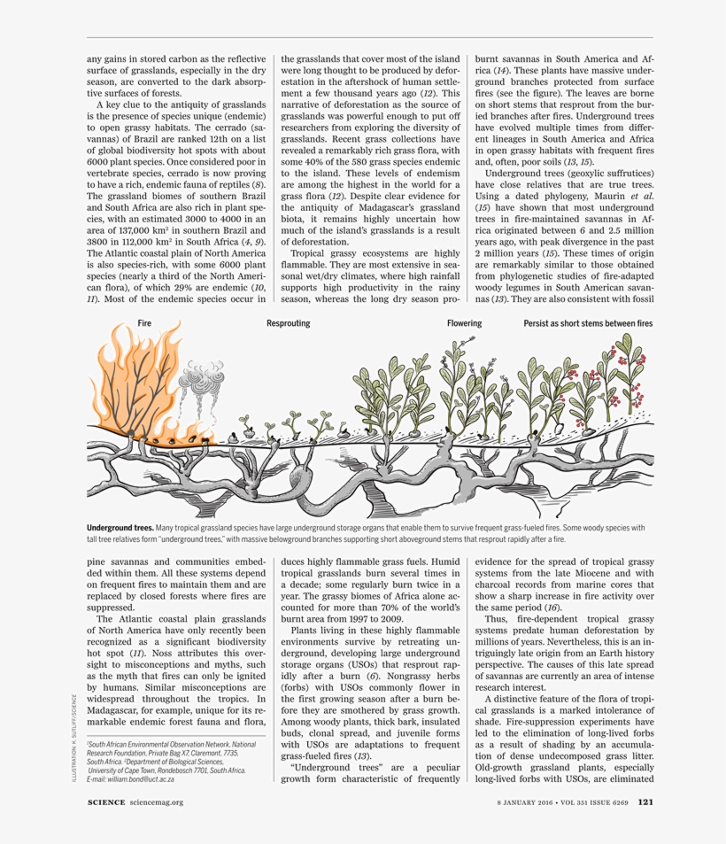 Civil War Gettysburg Address, transparent png #5616919