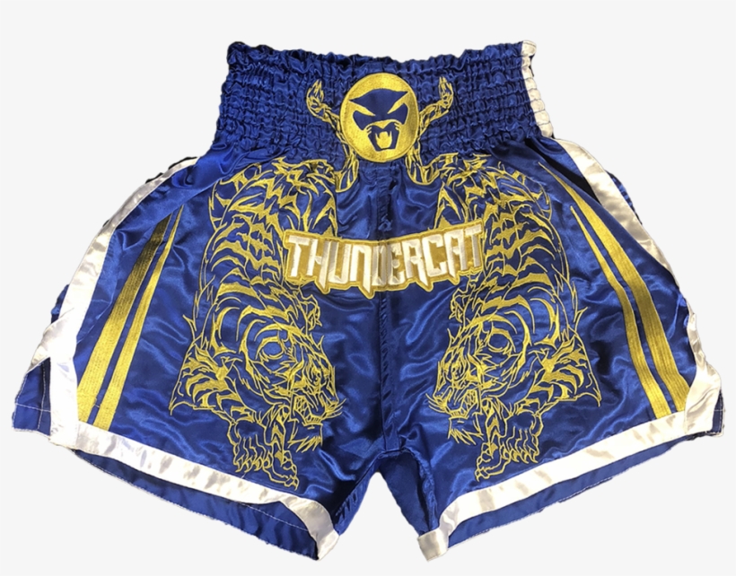Thundercat Boxing Shorts Round - Thundercat, transparent png #5617743