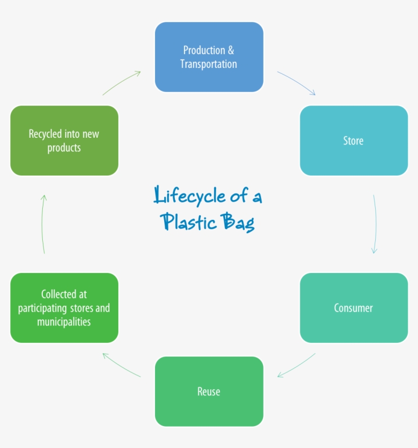 Infographics - 4th Industrial Revolution In Education, transparent png #5619303