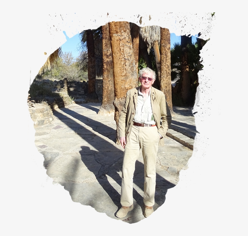 As Someone Who Is Well Travelled And Particularly Well - Tree, transparent png #5620280