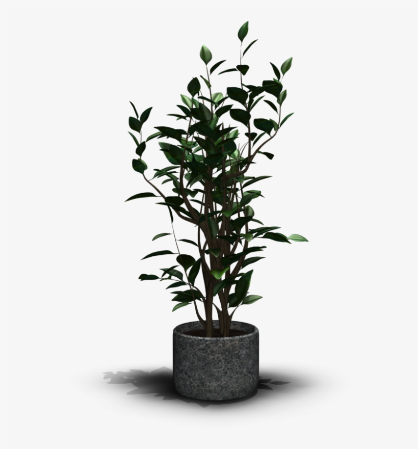 House Plant - Houseplant Font, transparent png #5622278