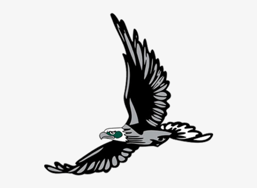 Seahawks Png, transparent png #5622623