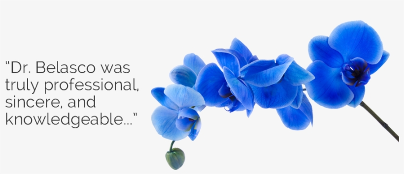 Belasco Is An Excellent Doctor Who Knows What He's - California, transparent png #5623763