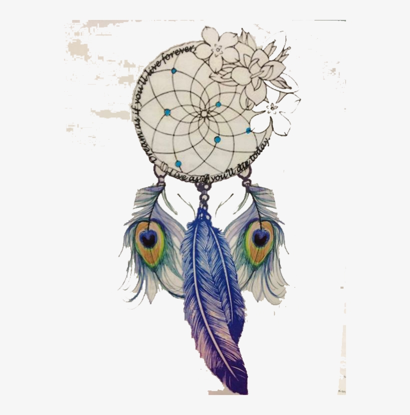 Clip Art Feather Dream Catcher - Feathers On Dream Catchers, transparent png #5624591