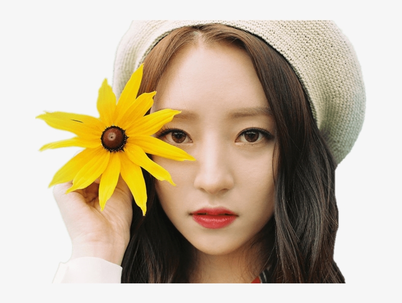 Dreamcatcher Sua Holding Flower - Dreamcatcher Kpop Sua Prequel, transparent png #5624730