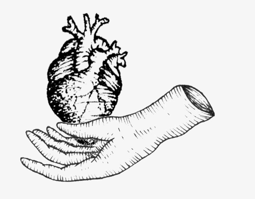 Heart - Portable Network Graphics, transparent png #5626267