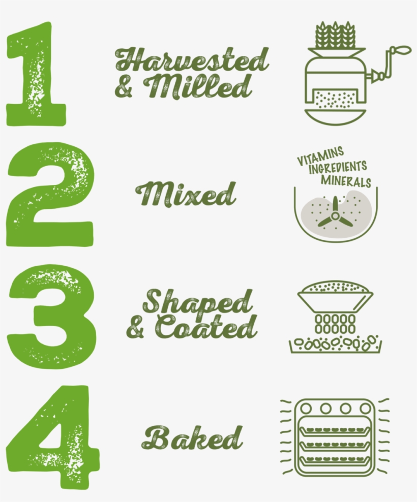 Steps Of Whole Grain Cereal Making - Whole Grain, transparent png #5626322