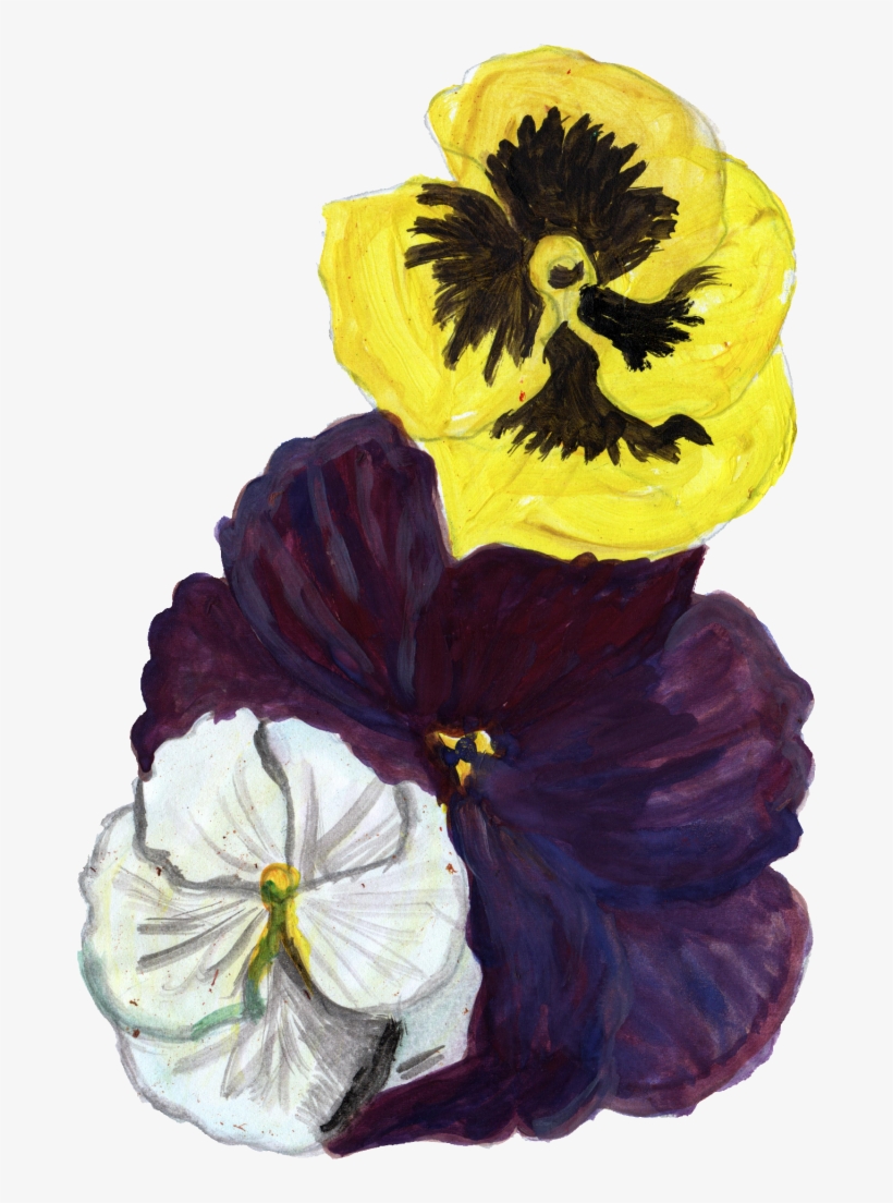 Png File Size - Pansy, transparent png #5626791