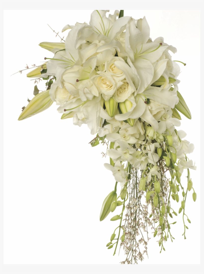 More Views, transparent png #5630279