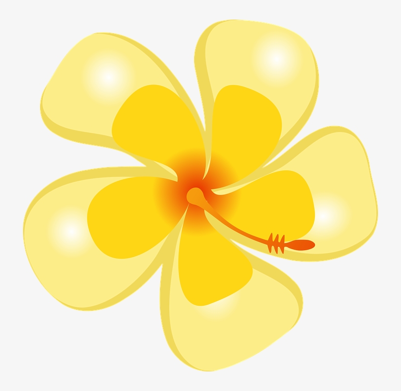 Frangipani Clipart Caribbean - Hawaii, transparent png #5633656