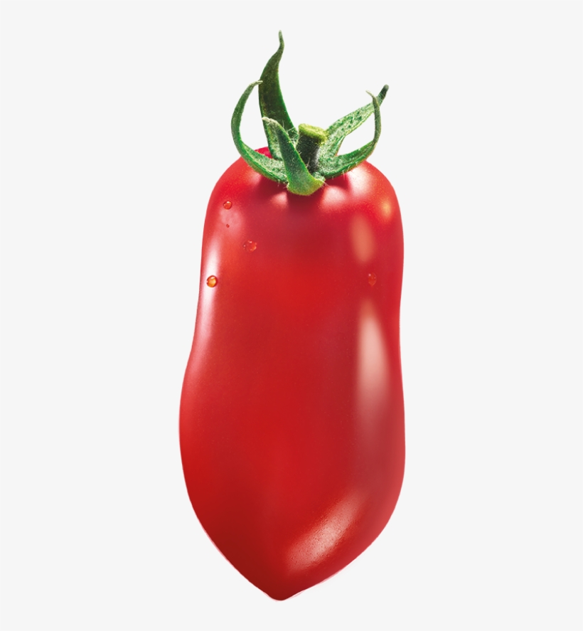 Home - Plum Tomato, transparent png #5635016