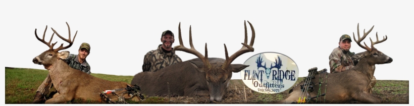 586, transparent png #5635021