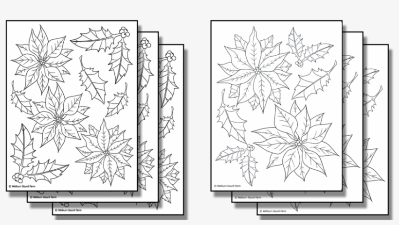 Stick 'n Burn Multiples - Poinsettia, transparent png #5636225