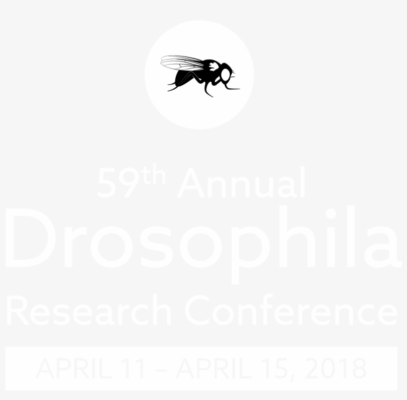 Original Graphic, Right - Matheus Yurley, transparent png #5637597