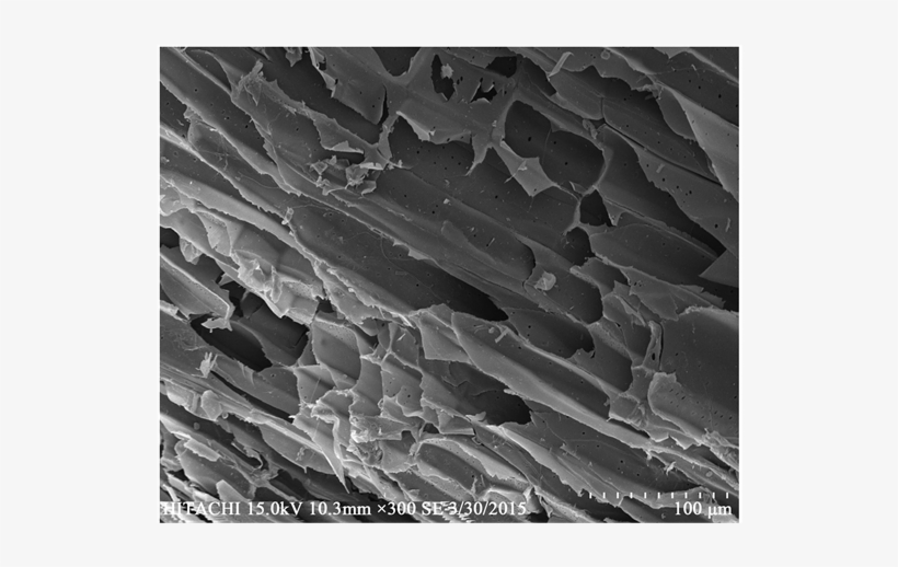 Sem Images Nkcf And (b) Qkcf - Monochrome, transparent png #5637672