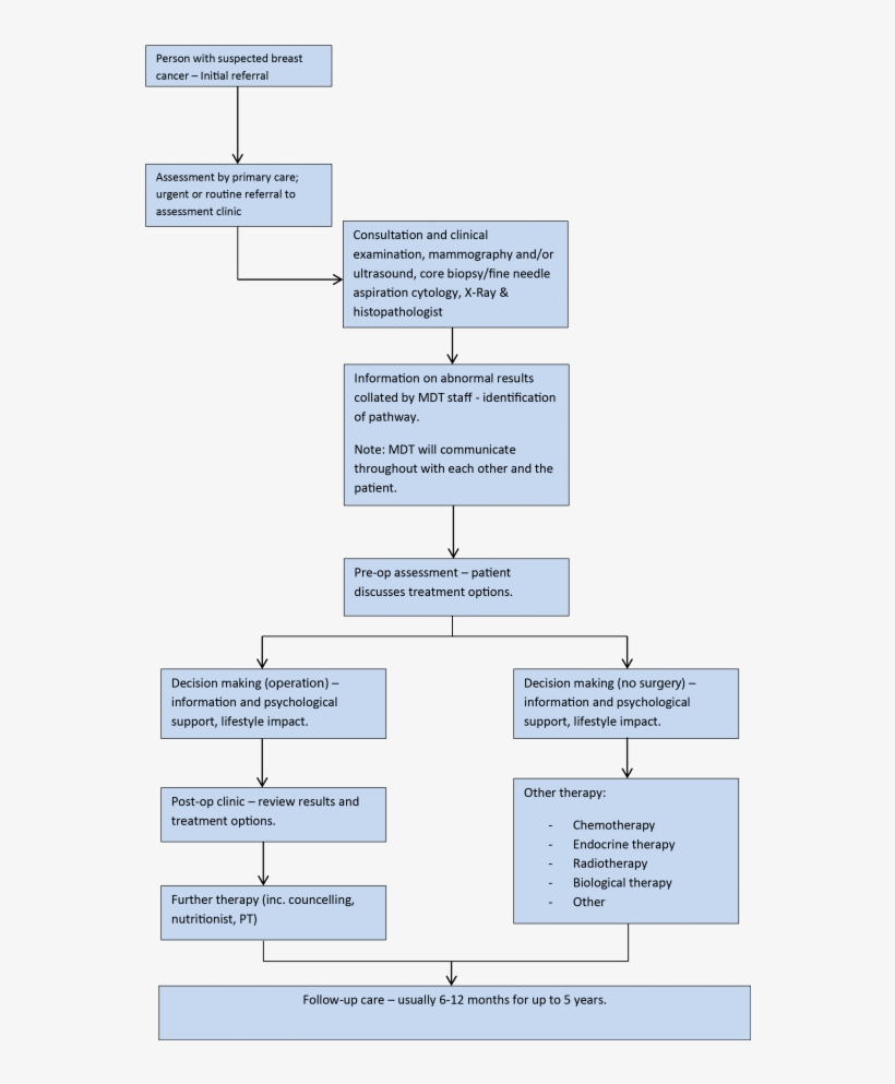 Care Pathway - Care Pathway For Breast Cancer, transparent png #5640303