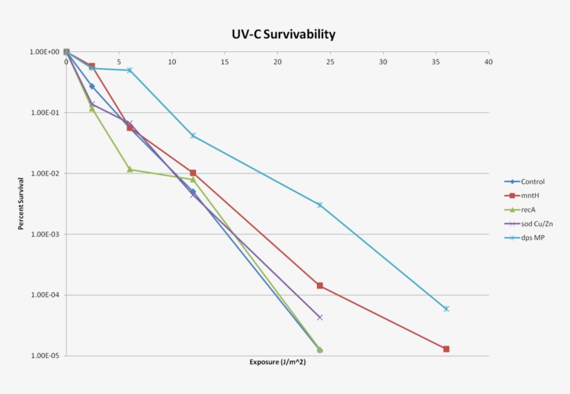 After Each Exposure, A Dilution Spot Assay Was Conducted - Dna, transparent png #5642554