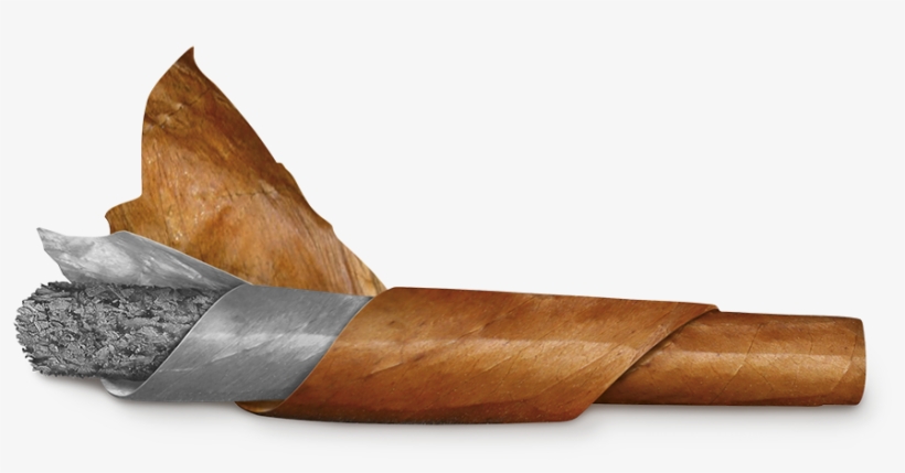 However, The Real Secret Lies In The Combination Of - Cleaving Axe, transparent png #5644111