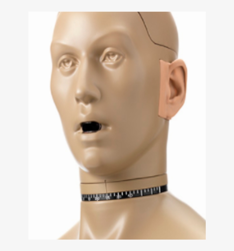 Mannequin Head Png, transparent png #5644169