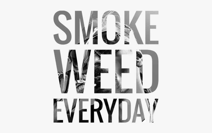 Snoop Dogg Smoke Weed Text - Pottery Barn Sleep In Pillow, transparent png #5644971