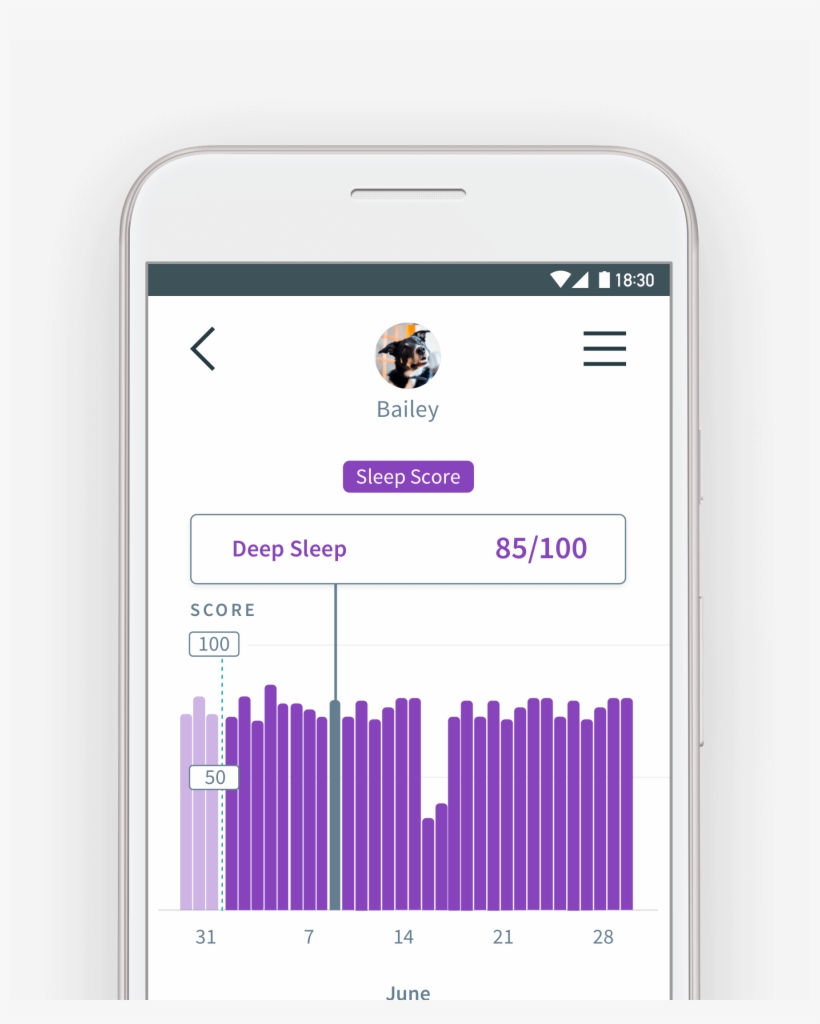 Animo Records A Sleep Score For Each Night Based On - Iphone, transparent png #5646219