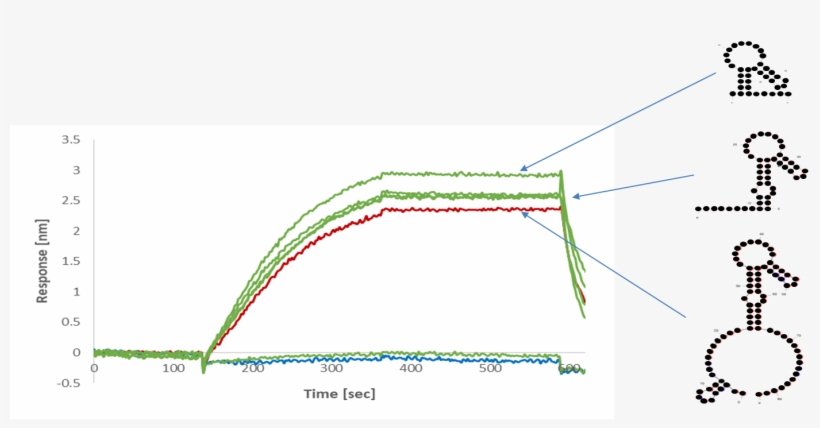 In This Example The Immobilised Naïve Library Shows - Diagram, transparent png #5648082