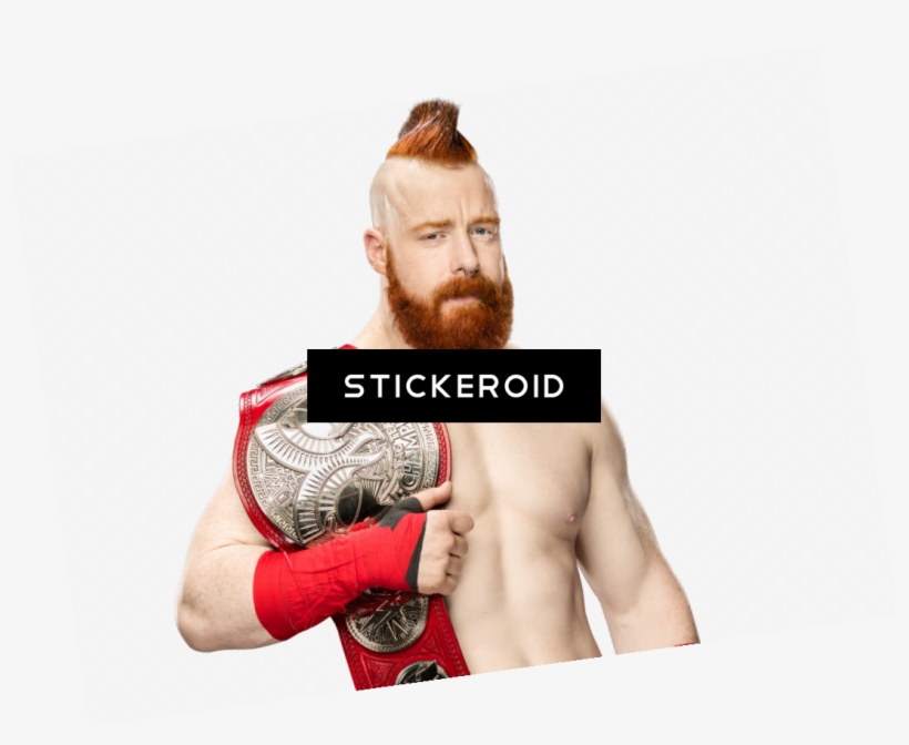 Sheamus Wwe - Professional Boxing, transparent png #5648595