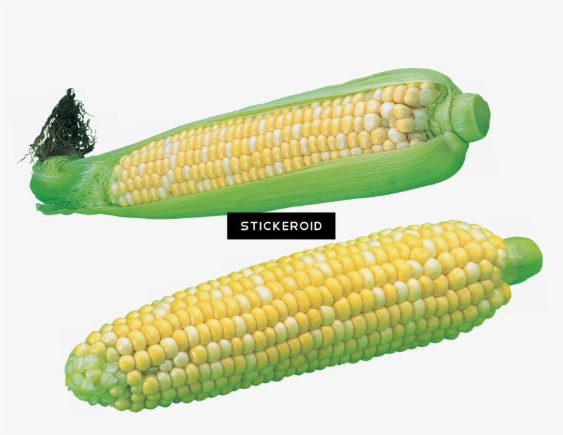 Corn - Corn Kernels, transparent png #5648839