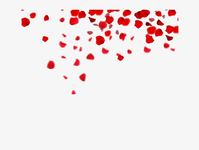 Featured image of post Rose Petals Falling Gif Transparent Background