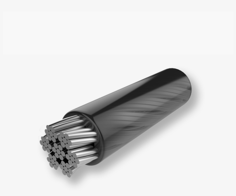 Boa System Laces Illustration - Fluorescent Lamp, transparent png #5653985