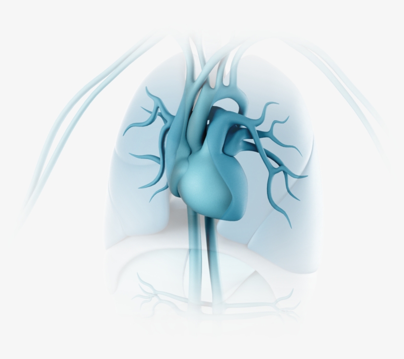 Back To Top - Illustration, transparent png #5655332