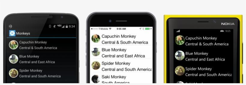 Monkeycircleimages - Circle Image In Xamarin Forms, transparent png #5656856