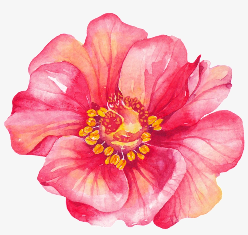 Red Petals Cartoon Transparent - Hibiscus Bienvenue, transparent png #5659906
