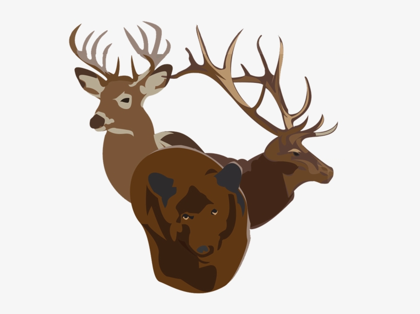 Bucks Bulls Bears, transparent png #5660294
