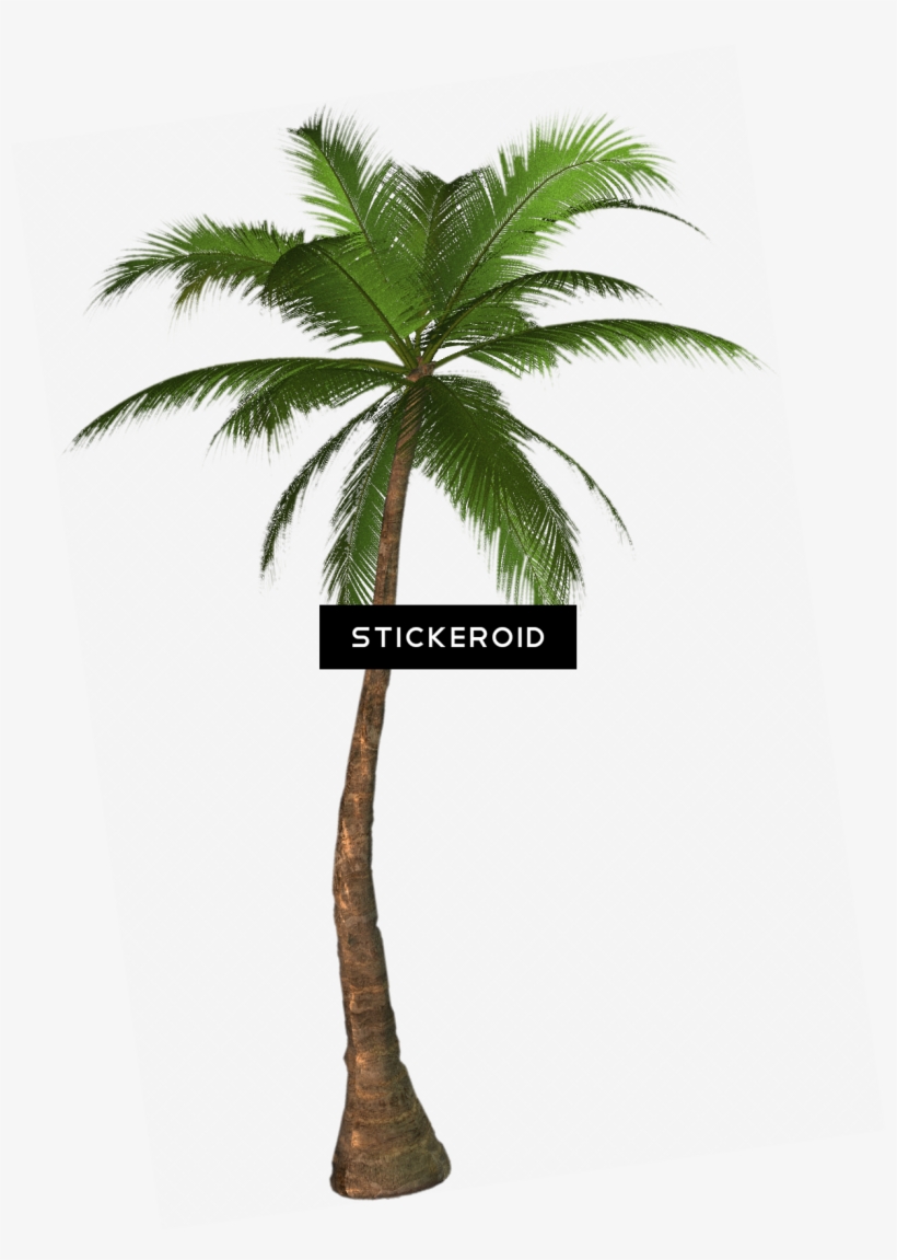 6 Pairs Palm Tree Screen Door Magnets - Double Sided Refrigerator Decals, Multicolor