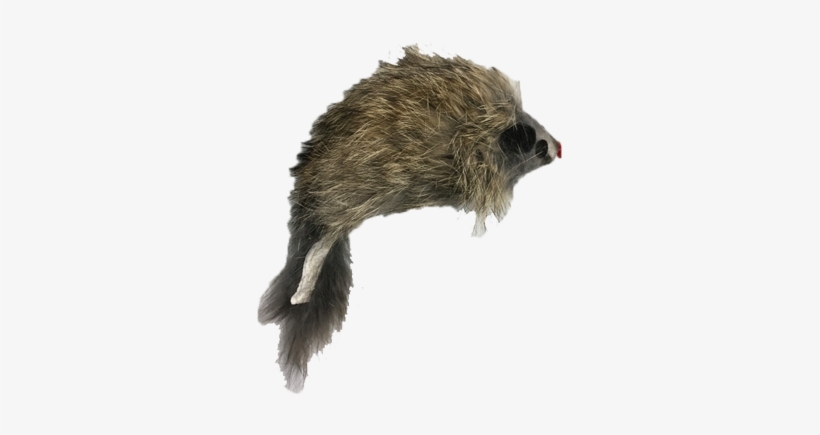 Go Cat Long Haired Mouse Cat Toy - Cat, transparent png #5660673