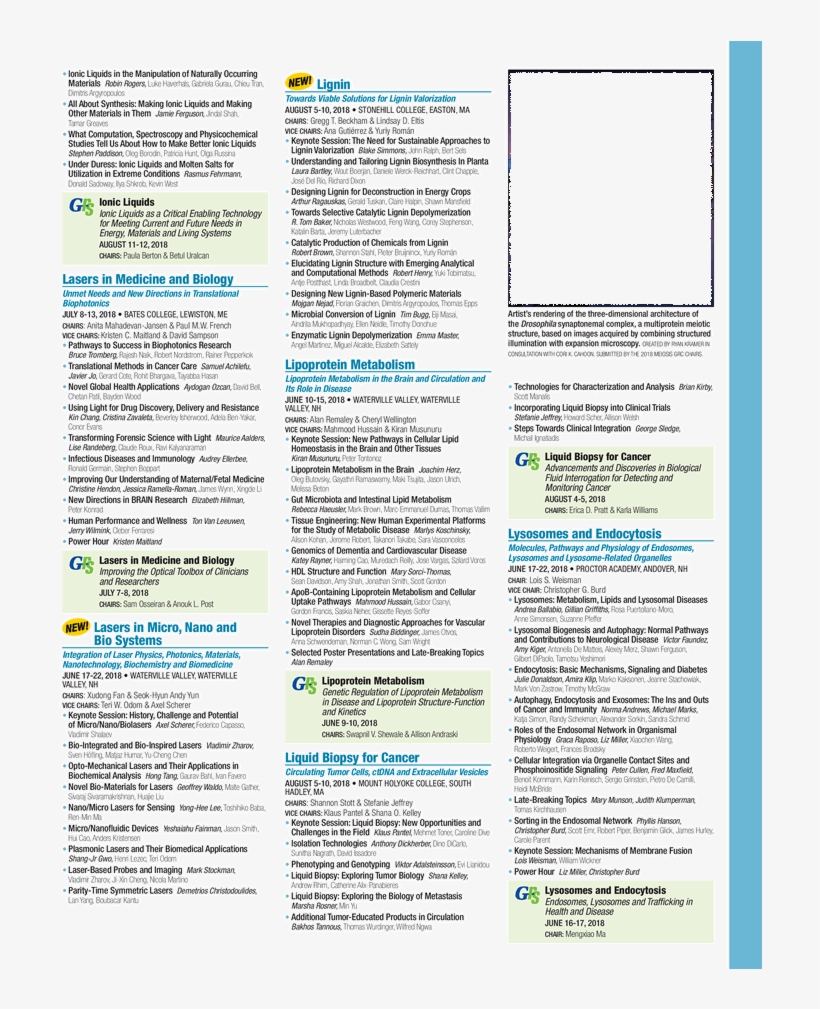 What - Brochure, transparent png #5662608