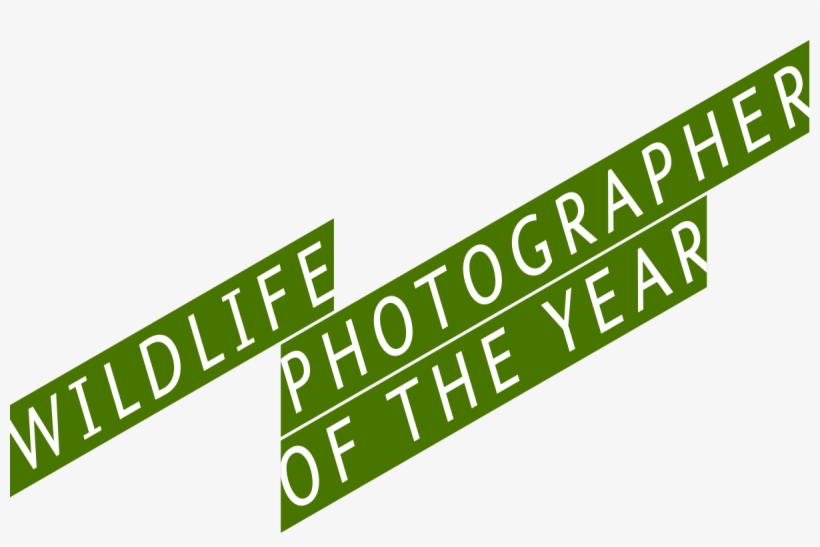 Wildlife Photographer Of The Year Logo, transparent png #5662974
