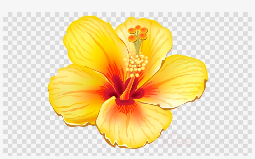 Tropical Flower Png Clipart Clip Art - Yellow Hibiscus Shower Curtain, transparent png #5663613