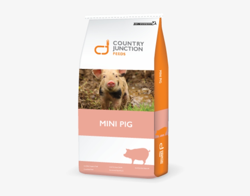 Adult Mini Pig Maintenance Ration - Domestic Pig, transparent png #5665192