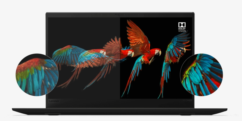 Dazzle Yourself & Others - X1 Carbon 6 Display, transparent png #5666916